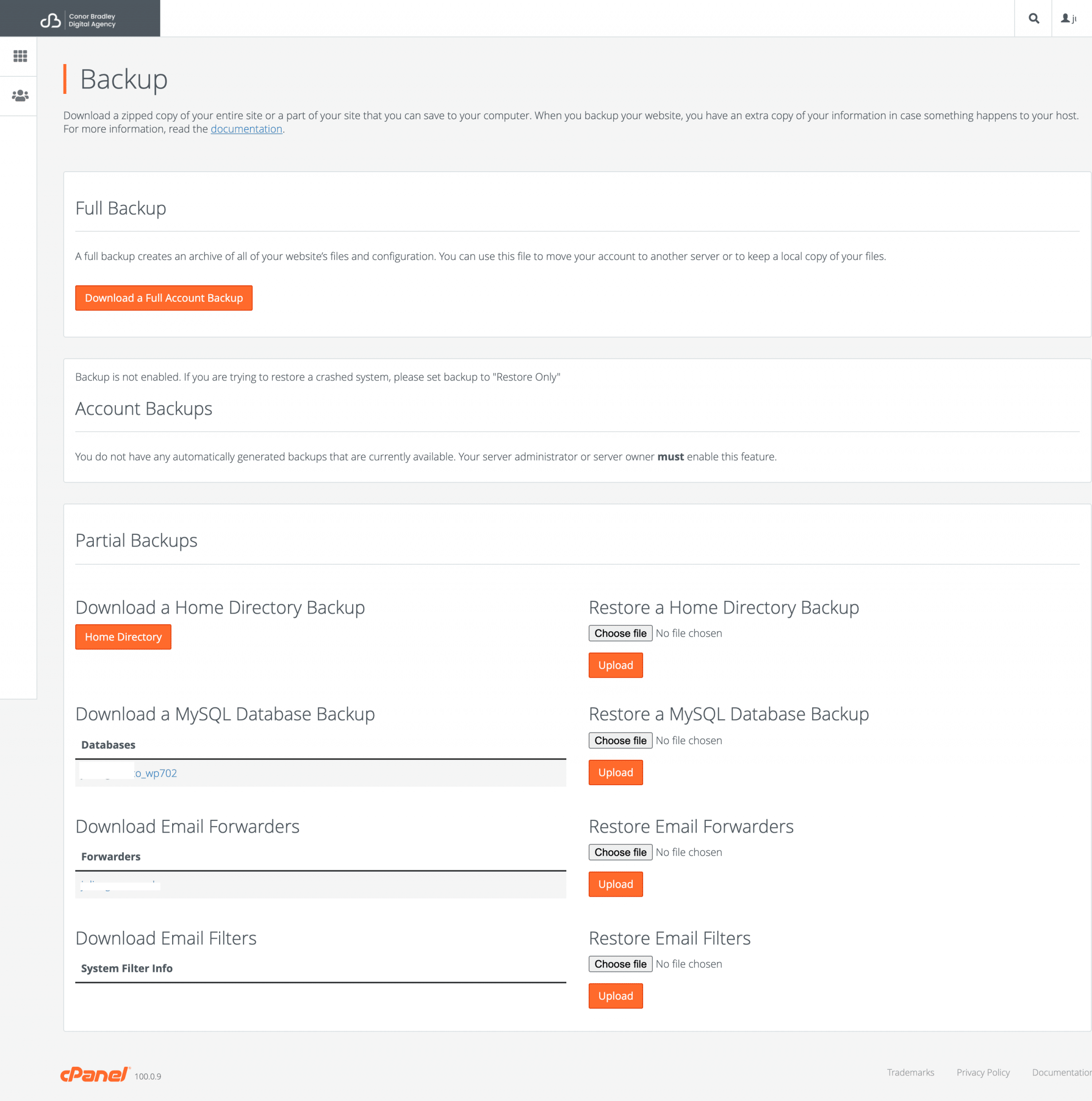 SSL settings for Codex website hosting