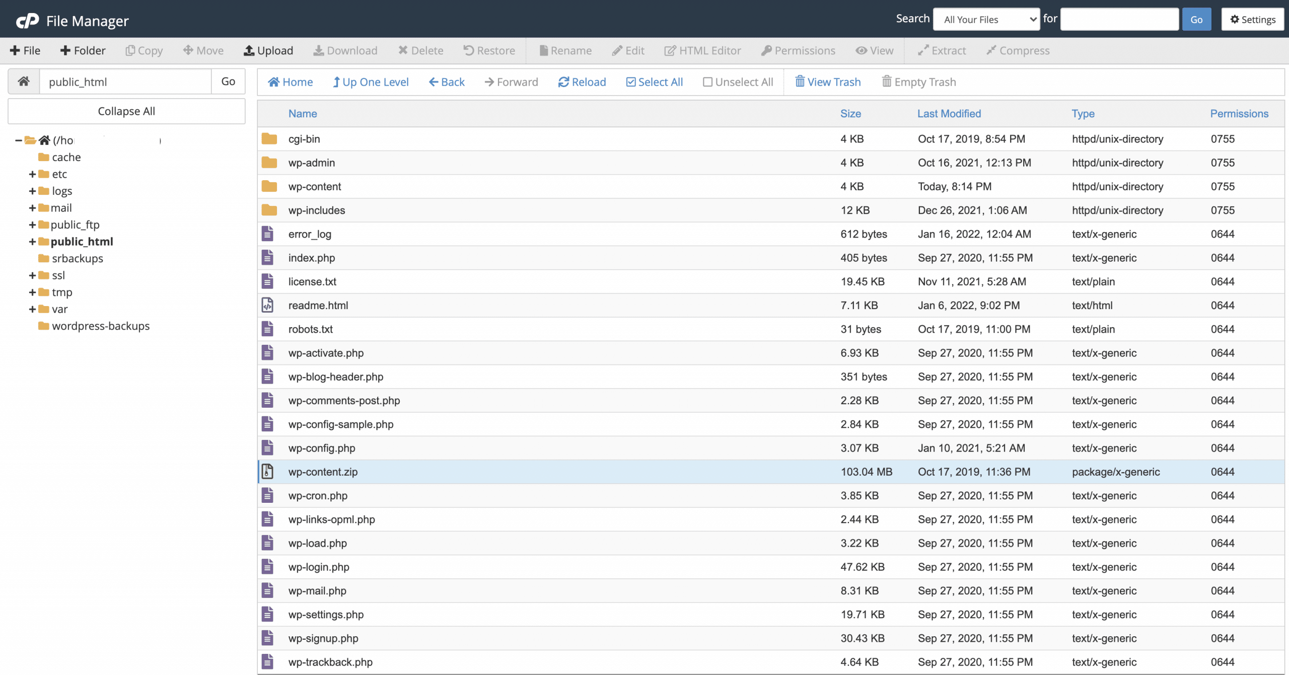 cPanel file manager for Codex website file upload