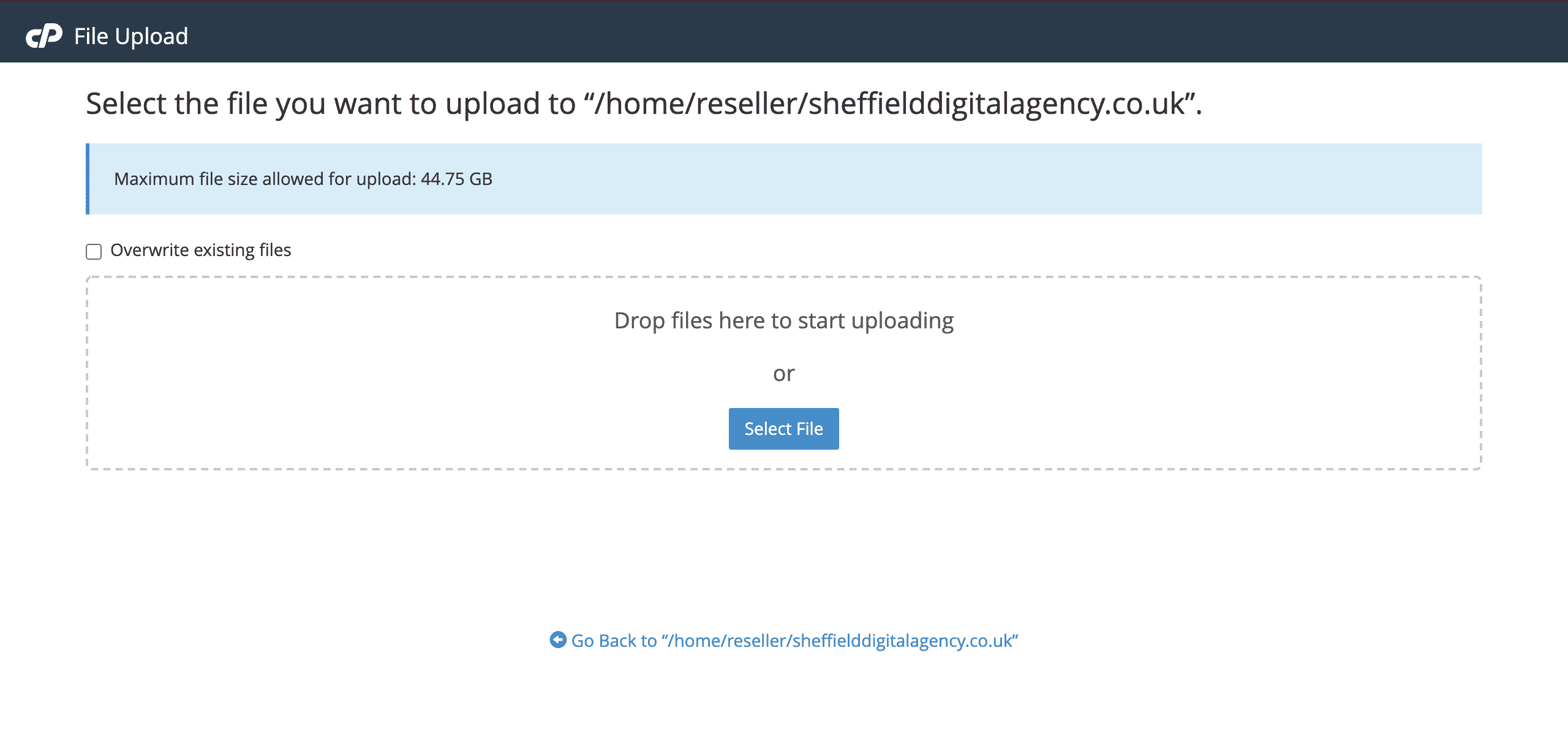 Uploading a file on cPanel File Manager conor bradley digital agency