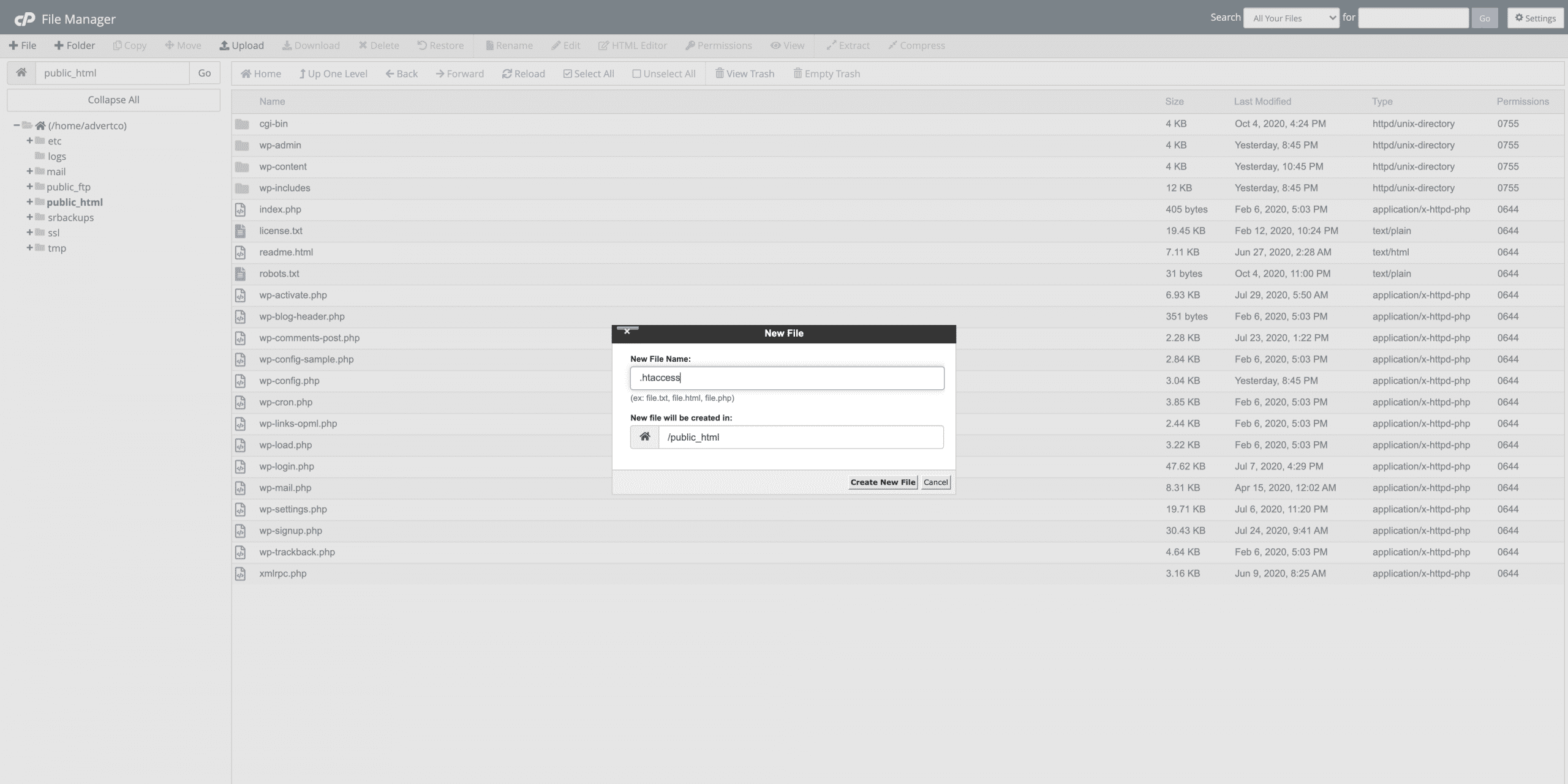 clicking on new file then calling the file name .htaccess then clicking create Conor Bradley Digital Agency