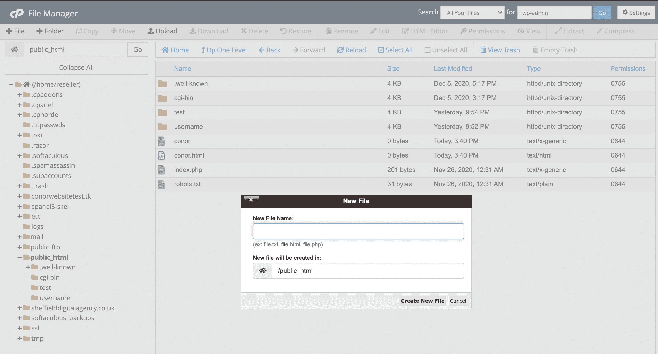 creating new files in cPanel file manager screenshot conor bradley digital agency