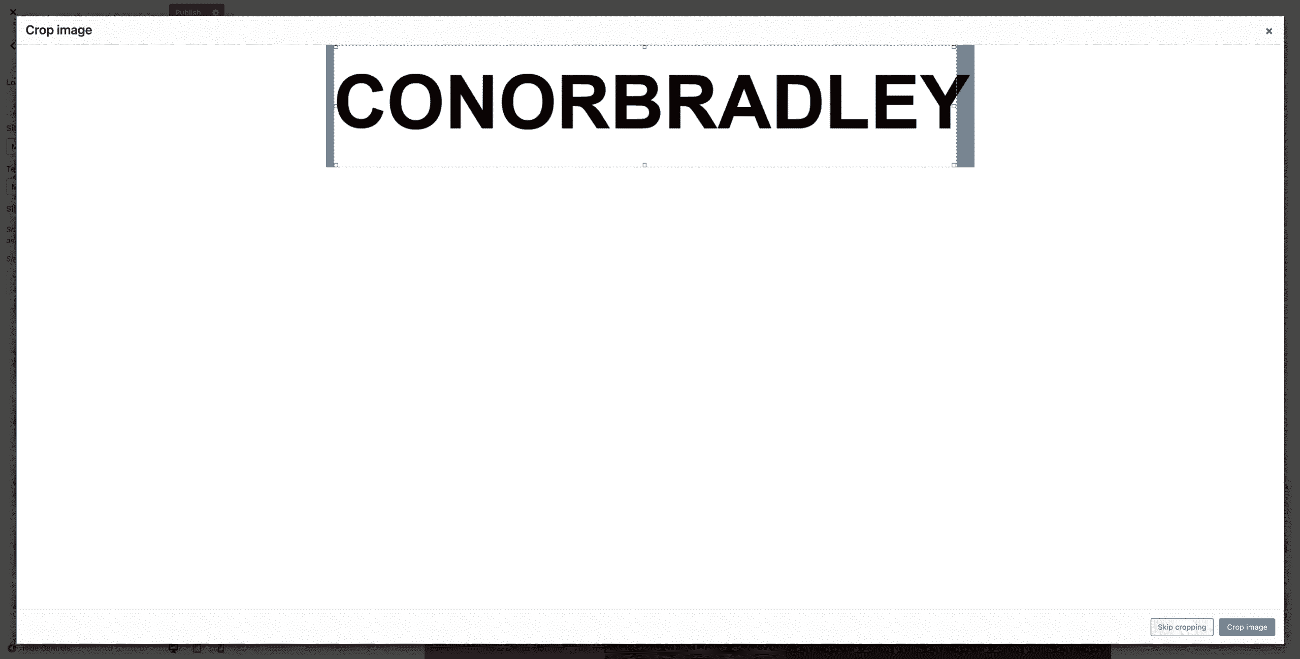 Adding Or Changing A WordPress Logo cropping the conor bradley digital agency logo on wordpress