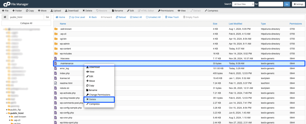 WordPress Maintenance Mode Stuck deleting the maintenance file in cPanel File Manager