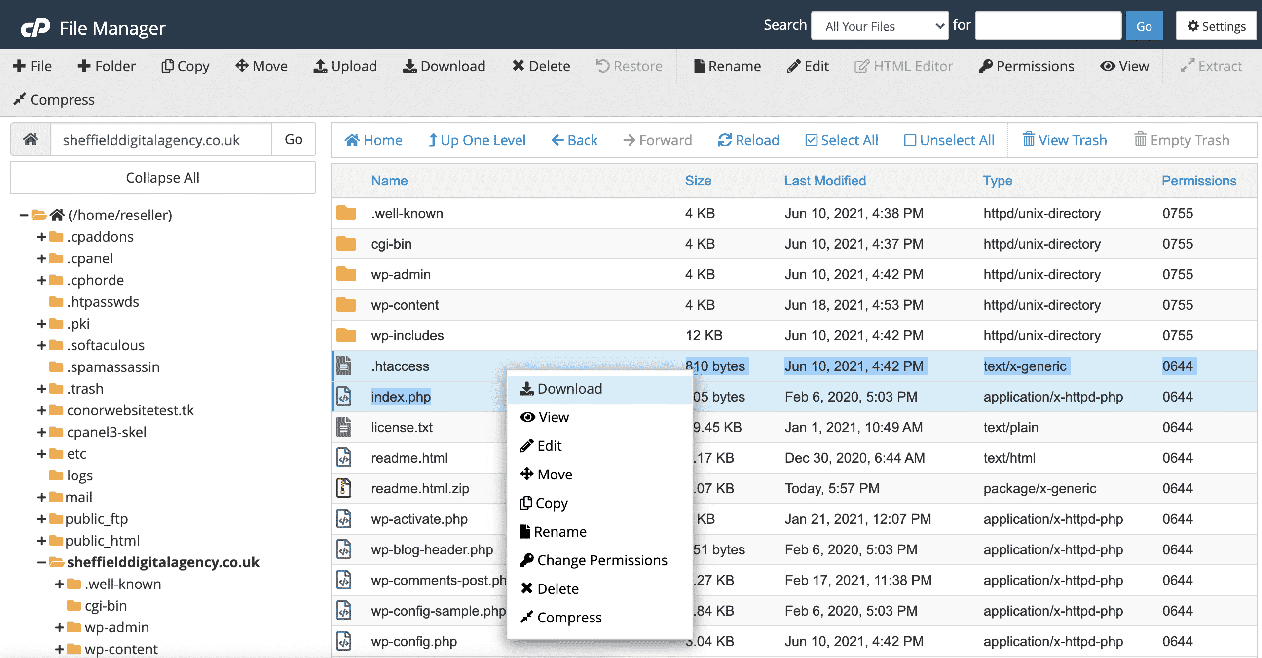 downloading a file on cPanel File Manager conor bradley digital agency