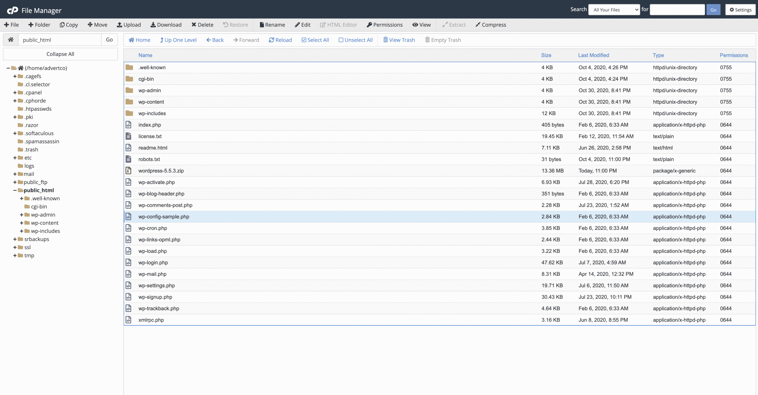 extracting the wordpress installation into public html Conor Bradley Digital Agency