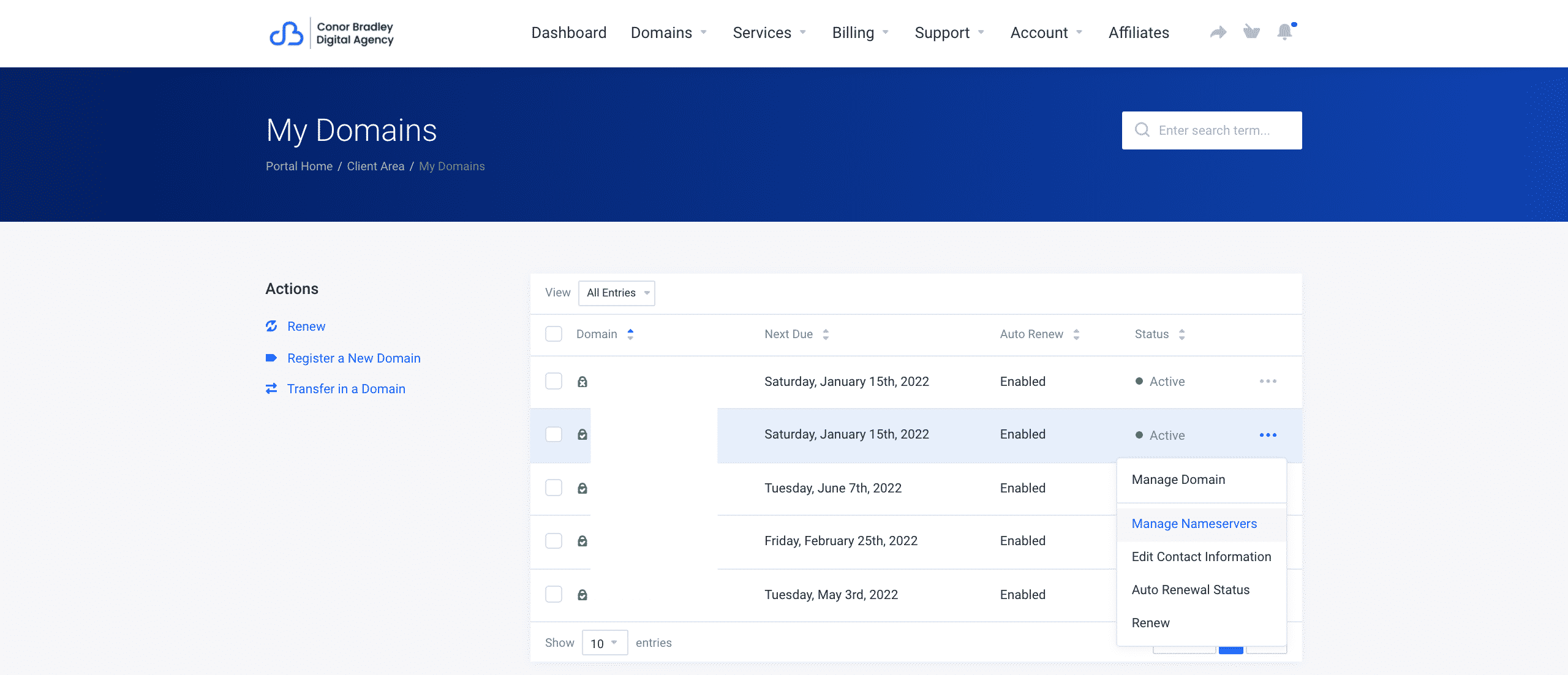 my domains dashboard selecting three dots then manage nameservers conor bradley digital agency