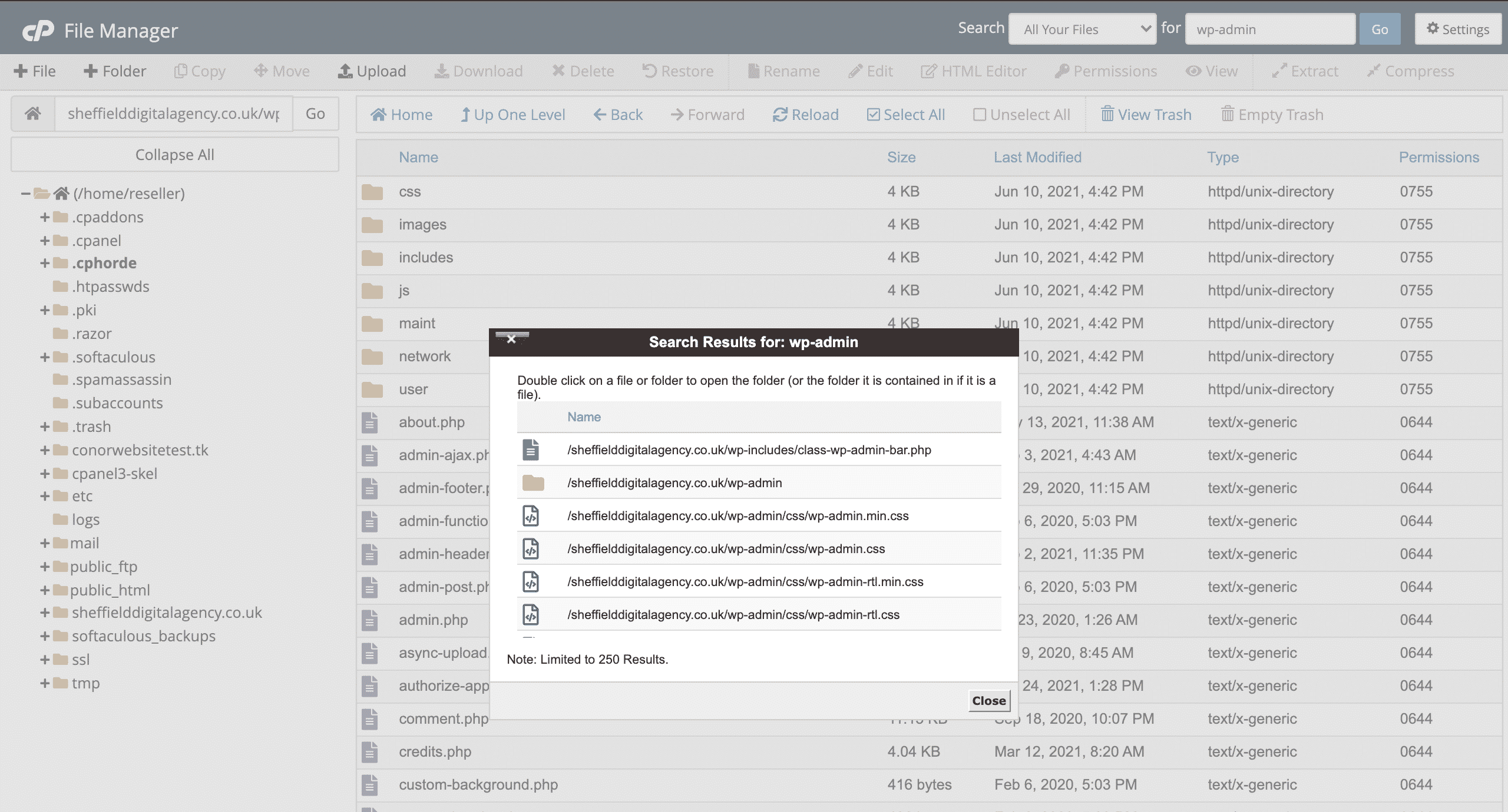 searching for files in cPanel file manager screenshot conor bradley digital agency